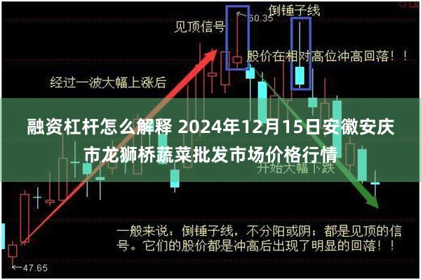 融资杠杆怎么解释 2024年12月15日安徽安庆市龙狮桥蔬菜批发市场价格行情