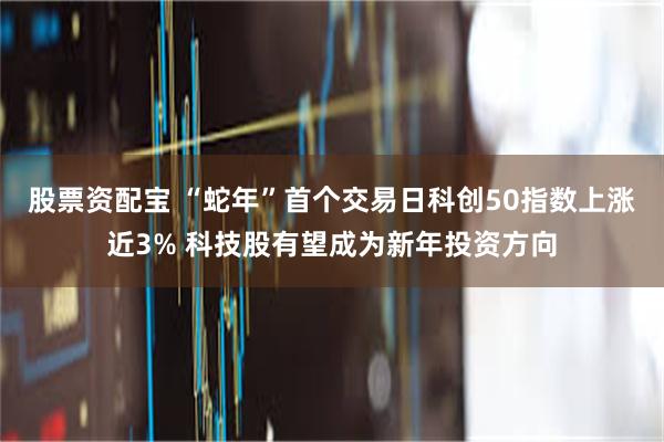 股票资配宝 “蛇年”首个交易日科创50指数上涨近3% 科技股有望成为新年投资方向