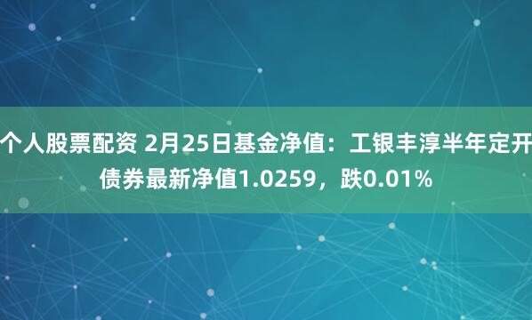 个人股票配资 2月25日基金净值：工银丰淳半年定开债券最新净值1.0259，跌0.01%