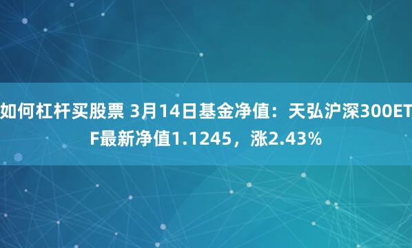 如何杠杆买股票 3月14日基金净值：天弘沪深300ETF最新净值1.1245，涨2.43%